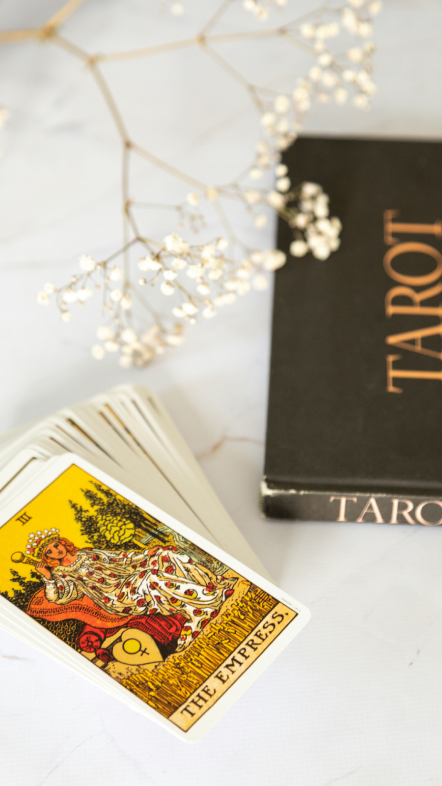 One Card Tarot Reading